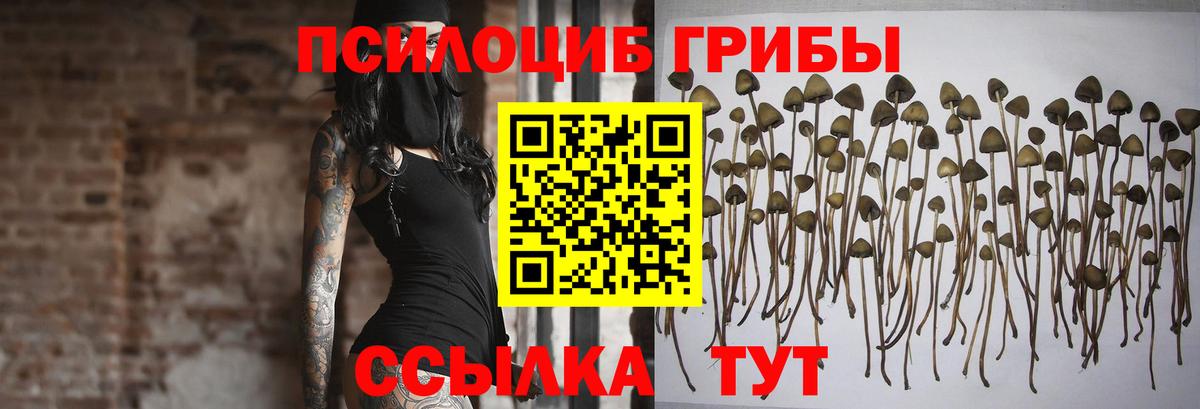 Таганрог  Галлюциногенные грибы Magic Shrooms  Вход с VPN 